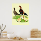 Aseel Wheaten Chicken Family Poster (Keuken)