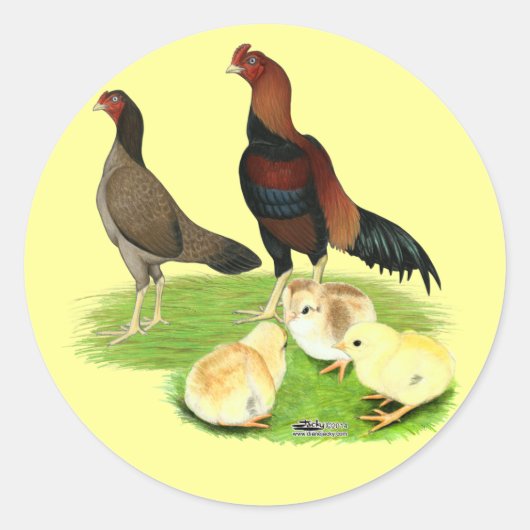 Aseel Wheaten Chicken Family Ronde Sticker (Voorkant)