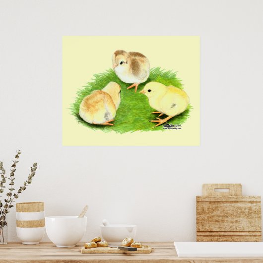 Aseel Wheaten Chicken Poster (Keuken)