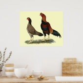 Aseel Wheaten Kippen Poster (Keuken)