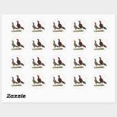 Aseel Wheaten Kippen Ronde Sticker (Vel)