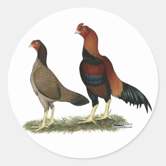 Aseel Wheaten Kippen Ronde Sticker (Voorkant)