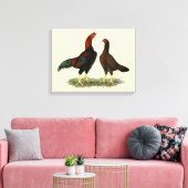 Aseel Zwarte Rode Kippen Canvas Afdruk (Insitu (Woonkamer))