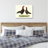 Aseel Zwarte Rode Kippen Canvas Afdruk (Insitu (Slaapkamer))