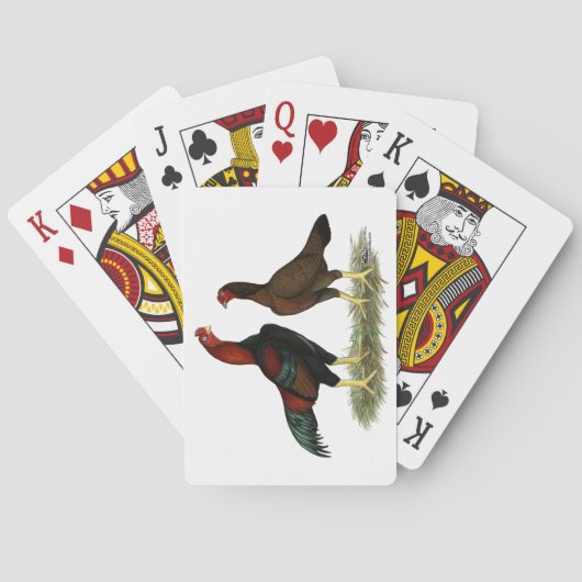Aseel Zwarte Rode Kippen Pokerkaarten (Achterkant)