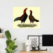 Aseel Zwarte Rode Kippen Poster (Thuiskantoor)