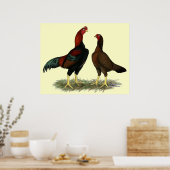 Aseel Zwarte Rode Kippen Poster (Keuken)