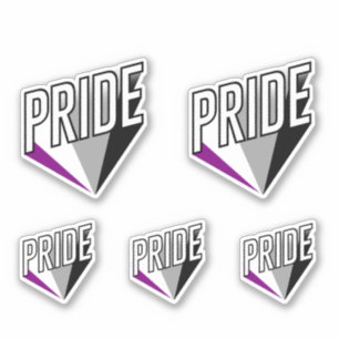 Aseksuele Pride Burst Sticker