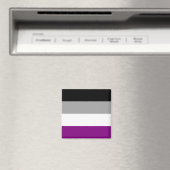 Aseksuele Pride-vlag Magneet (Insitu (Vaatwasser))