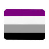 Aseksuele Pride Vlag Magneet (Horizontaal)