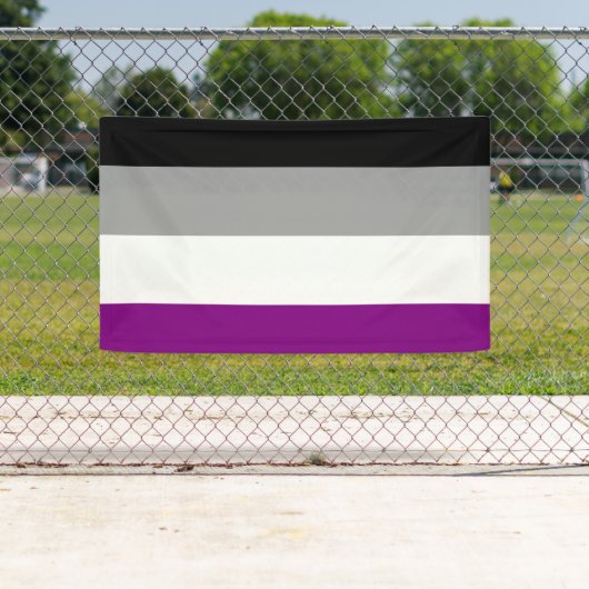 Aseksuele Pride-vlag Spandoek (Insitu)