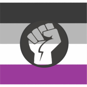 Aseksuele Protestvlag Sticker