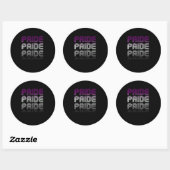Aseksuele Retro Pride Ronde Sticker (Vel)