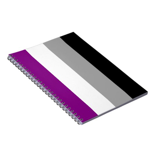 ASEKSUELE VLAG ORIGINEEL - PNG.NL NOTITIEBOEK (Rechterzijde)