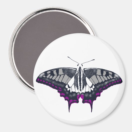 Asexual Flag Swallowtail Butterfly Magneet (Voorkant / Achterkant)