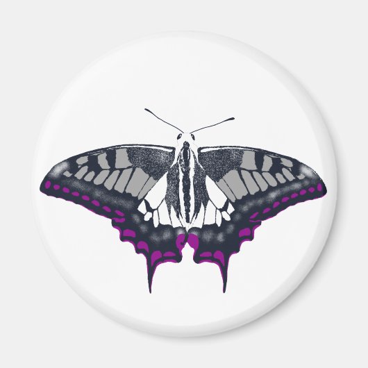 Asexual Flag Swallowtail Butterfly Magneet (Voorkant)