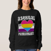 Asexual Panromantic Pride Flag Cute  Ace Aesthetic Trui (Voorkant)