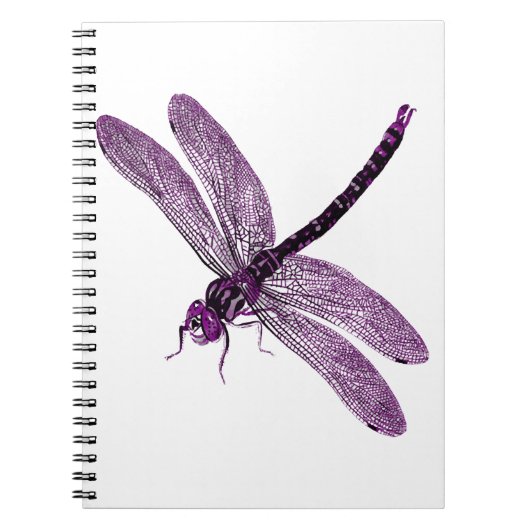 Asexual Pride Dragonfly Art Notitieboek (Voorkant)