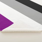 Asexual Pride Flag (Ace) (Asexualiteit) Sherpa Deken (3/4)