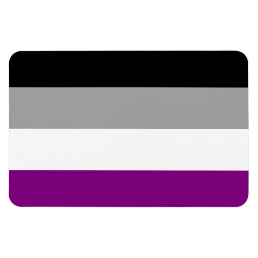 Asexual Pride Magnet Magneet (Horizontaal)