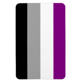 Asexual Pride Magnet Magneet (Verticaal)