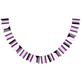Asexual Spectrum Bunting Flags Vlaggetjes