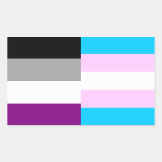Asexuele/transpride vlaggen sticker (Voorkant)