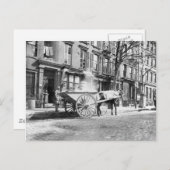 Ash Cart New York 1896 Briefkaart (Voorkant / Achterkant)