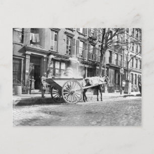 Ash Cart New York 1896 Briefkaart