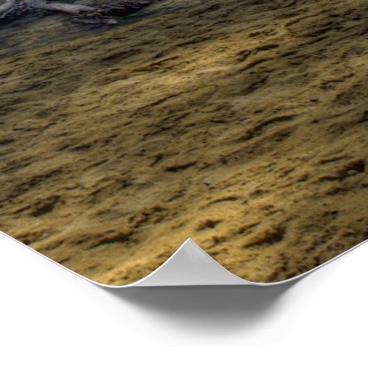 Ash Cave Herfsten afdrukken Poster (Hoek)