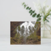 Ash Cave, Hocking Hills State Park, Ohio Briefkaart (Staand voorkant)