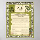 ASH CELTIC SACRED TREE POSTER (Voorkant)