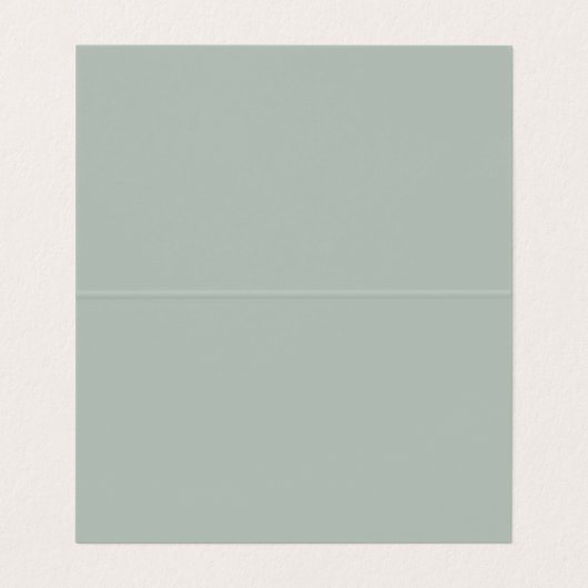 Ash Gray Modern Minimalist Plain Visitekaartje (Binnenkant ongevouwen)