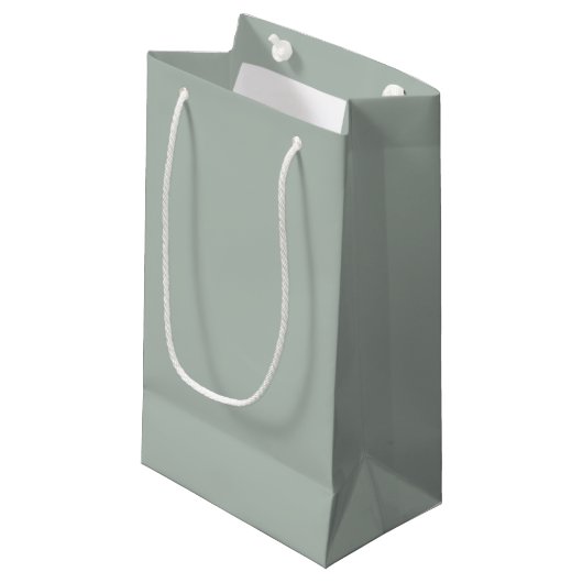 Ash Gray Small Gift Bag Klein Cadeauzakje (Voorkant Gekanteld)