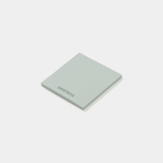 Ash Grey Professioneel Minimalistisch Zwart Script Post-it® Notes (Schuin)