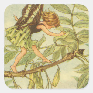 Ash Tree Fairy loopt op Branch Vierkante Sticker