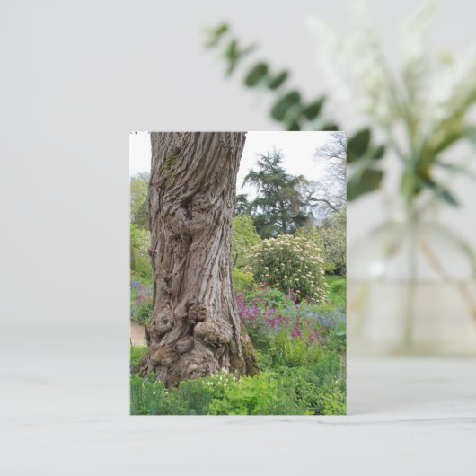 Ash Tree gestructureerde barstpatronen Hidcote Gar Briefkaart (Staand voorkant)