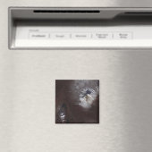 Ash vlekt op de Russische Shiveluch vulcanooOoO® Â Magneet (Insitu (Vaatwasser))