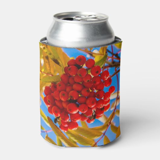 Ashberry Blikjeskoeler (Blikje Voorkant)