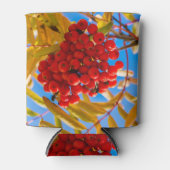 Ashberry Blikjeskoeler (Voorkant)