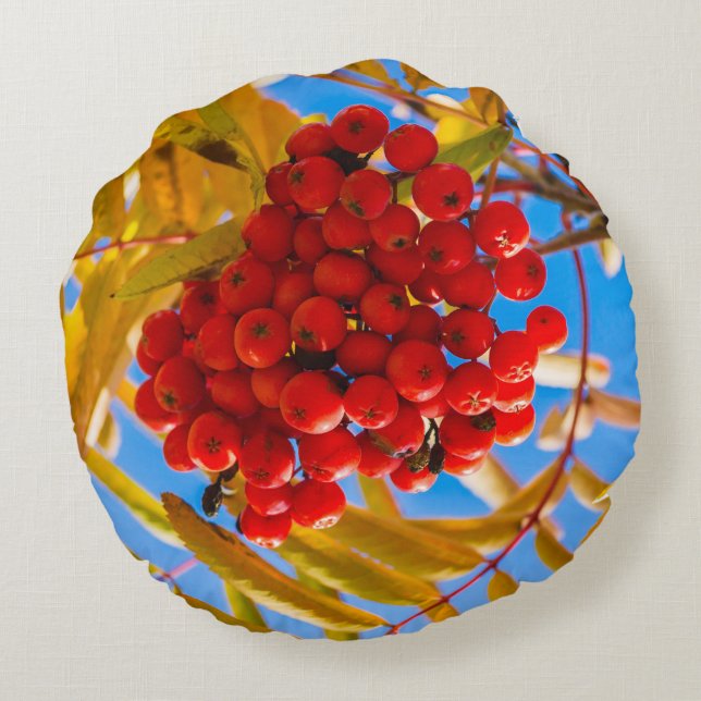 Ashberry Rond Kussen (Achterkant)