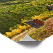 Ashcroft, Colorado Ghost Town Cabin Poster (Hoek)