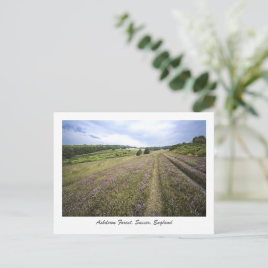 Ashdown Forest Briefkaart (Staand voorkant)