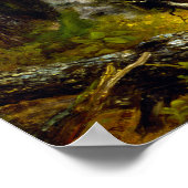 Asher B. Durand Woodland Glen Poster (Hoek)