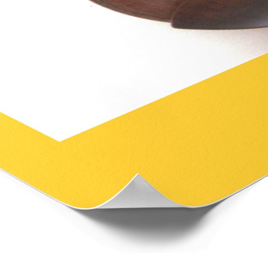 Asher Violin Poster (Hoek)