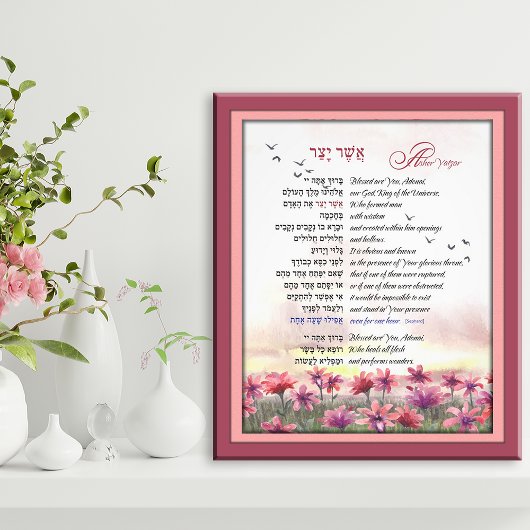 Asher Yatzar Hebrew Morning Prayer Pink Red Cosmos Foto Afdruk