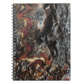 Ashes Notitieboek (Voorkant)