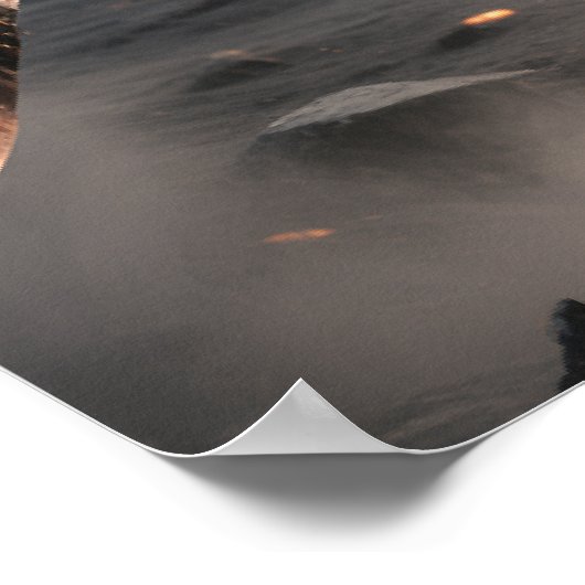 Ashes of Grace - Gevallen engelenstrijder Poster (Hoek)