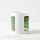 Asheville, North Carolina Koffiemok (Center)