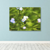 Asheville Wildflower Canvas Afdruk (Insitu (Houten vloer))